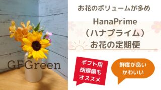 ボリューム満点カワイイ色味のお花の定期便【HanaPrime】 